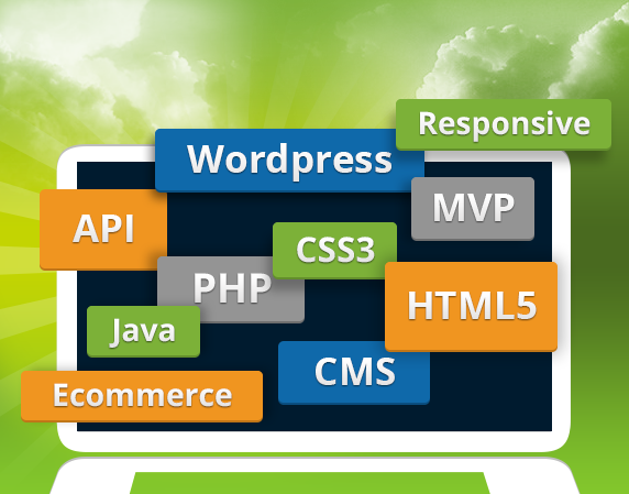 Custom-Programming-572-X-449